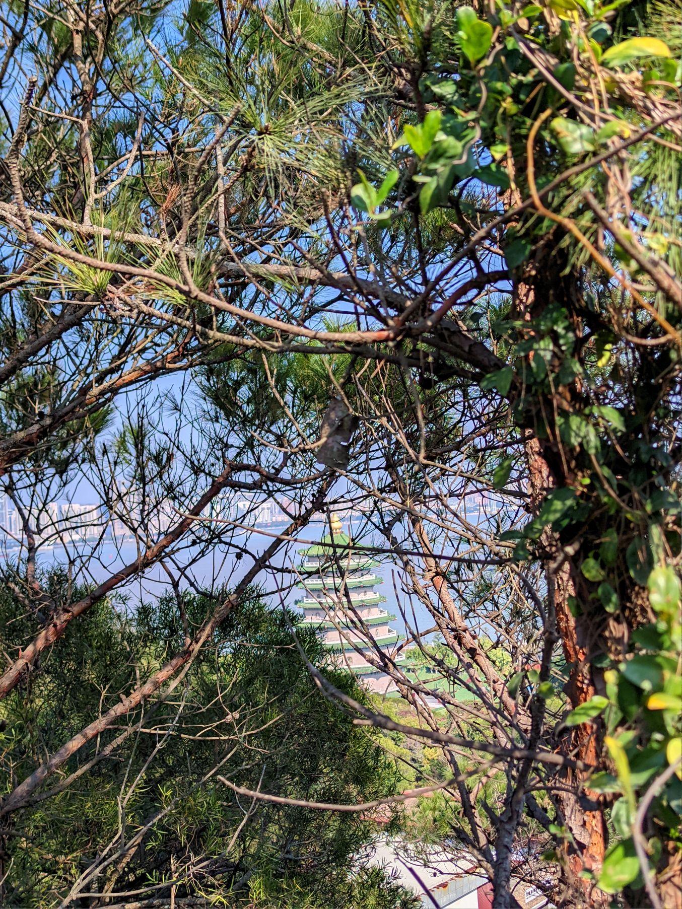 礐石风景名胜区绿道旅行图片 3