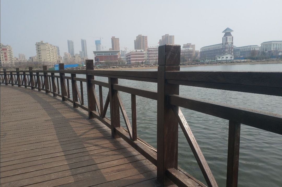 龙湖公园旅行图片 2