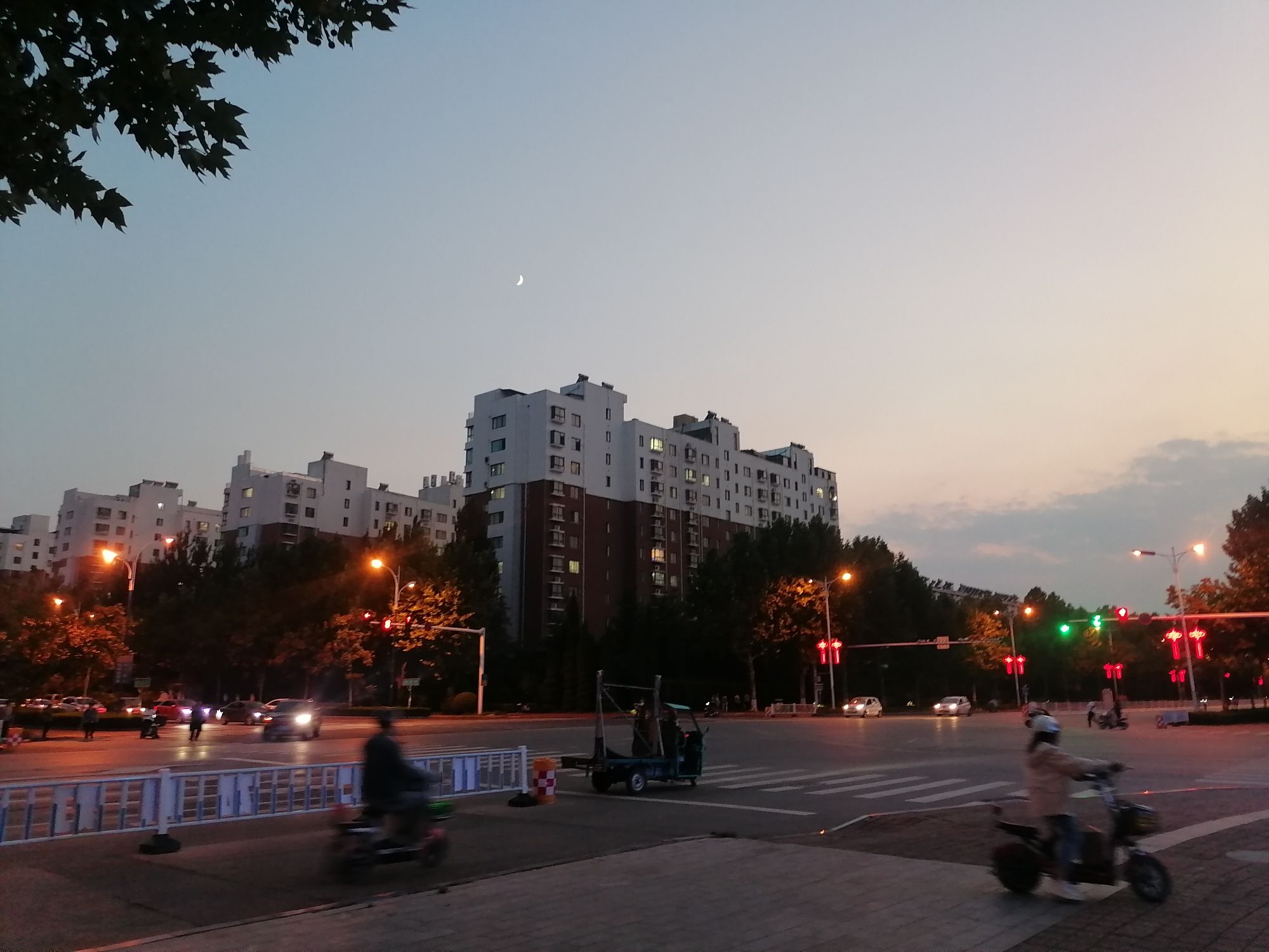 龙湖公园旅行图片 1