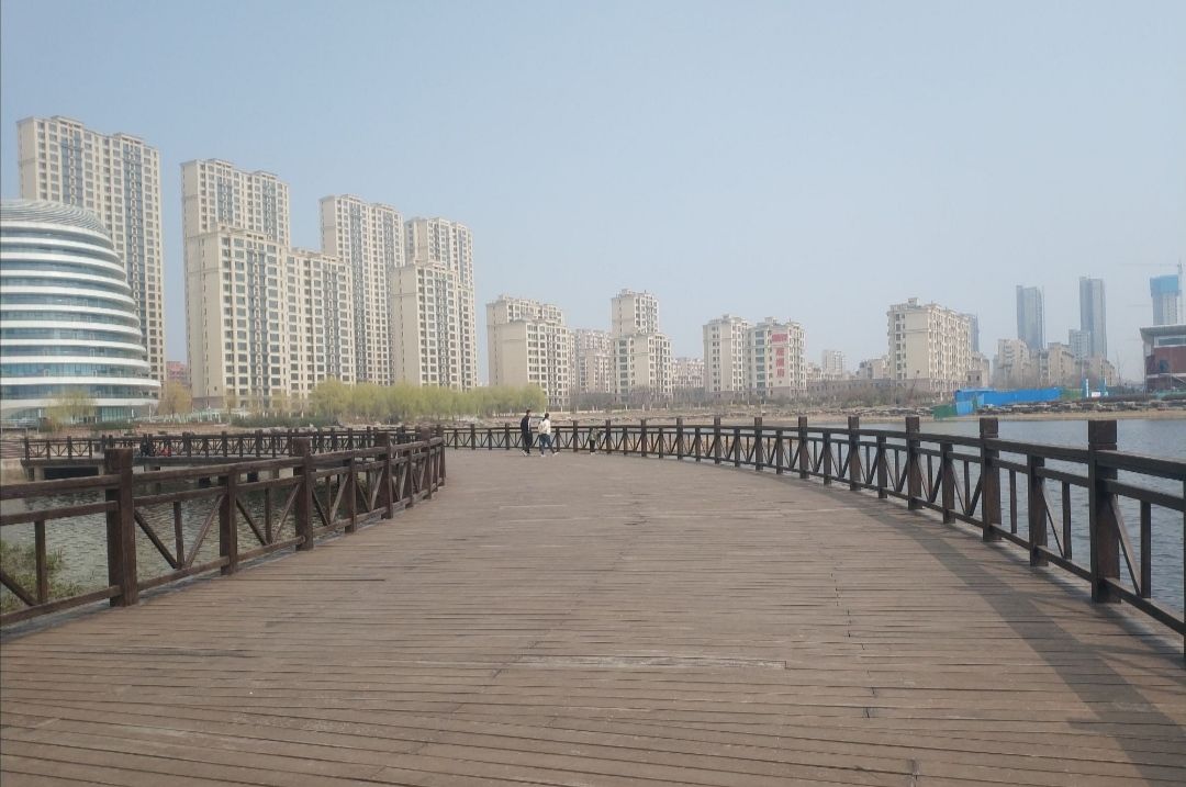 龙湖公园旅行图片 3