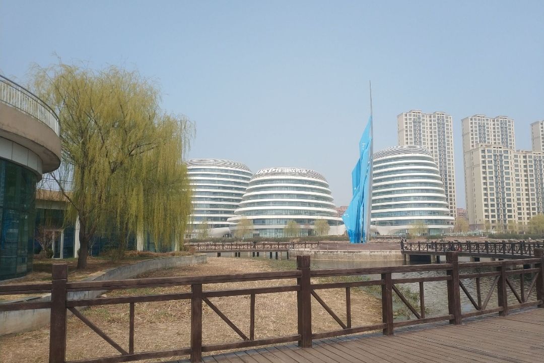 龙湖公园旅行图片 1