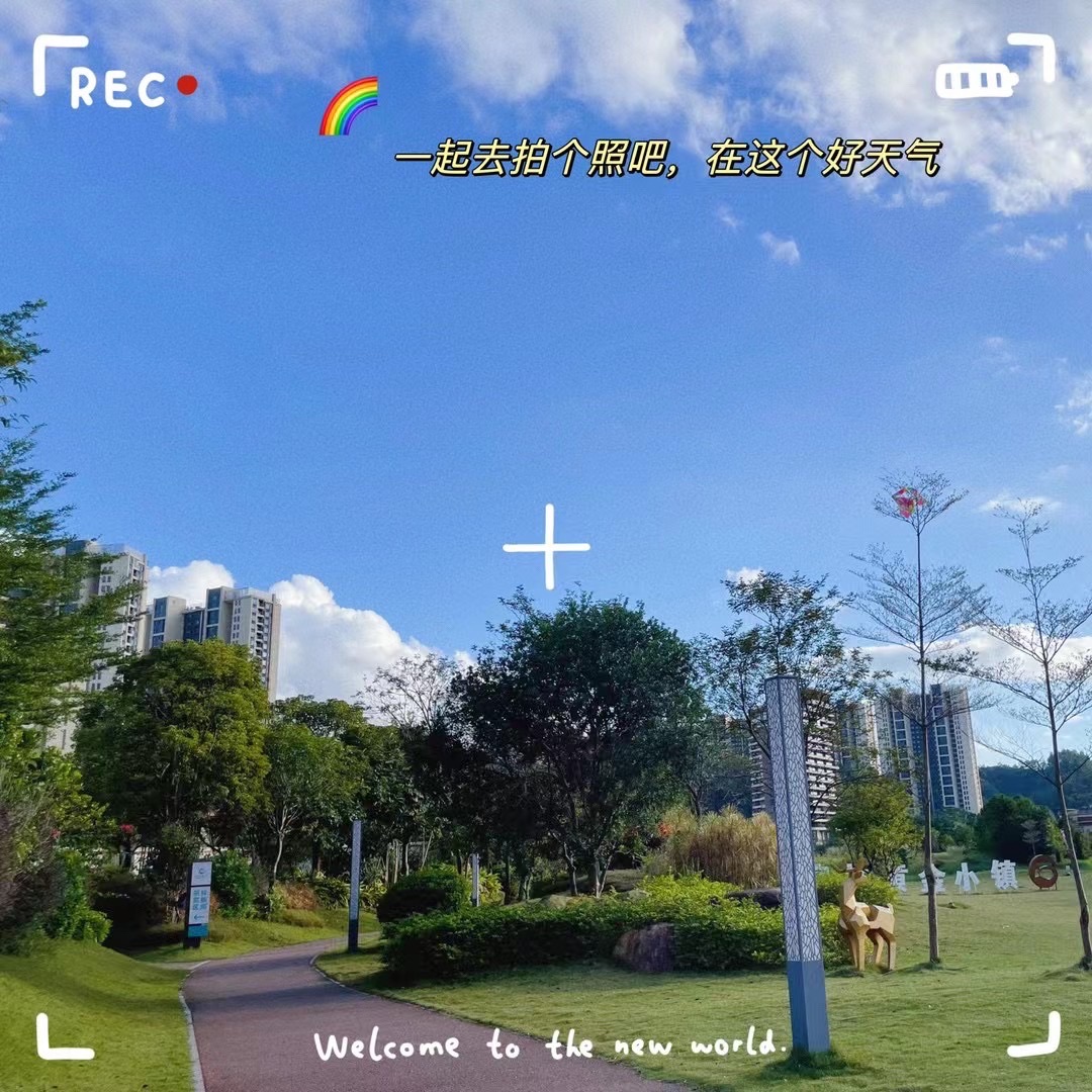 泉林黄金小镇旅行图片 1