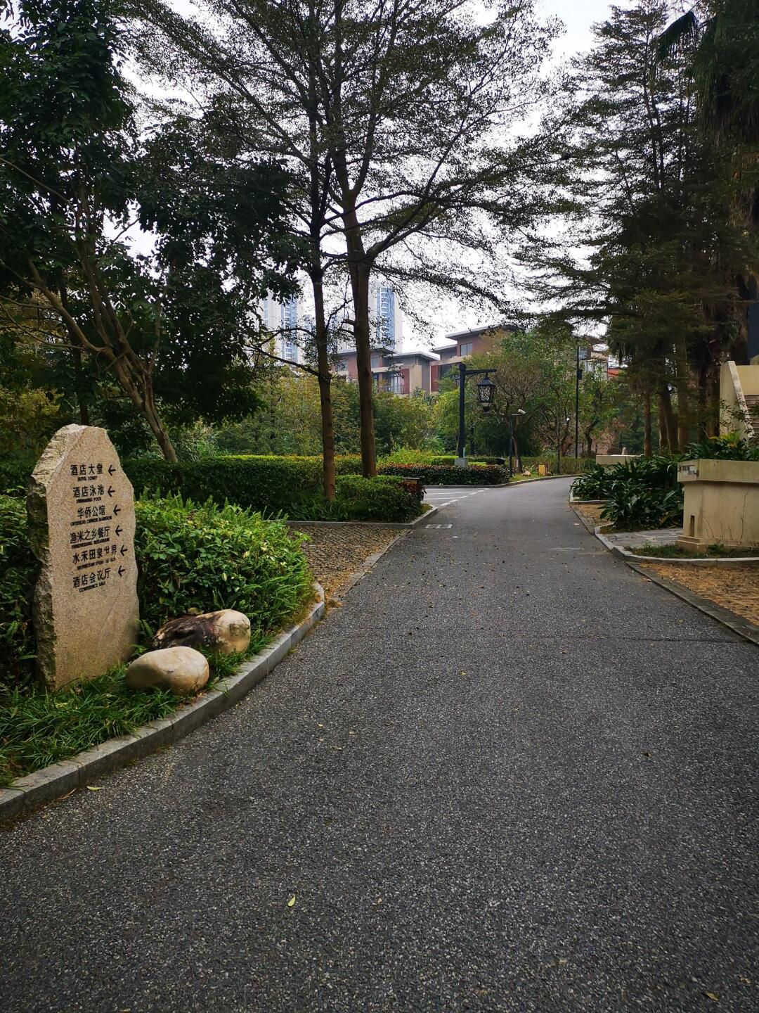 泉林黄金小镇旅行图片 1