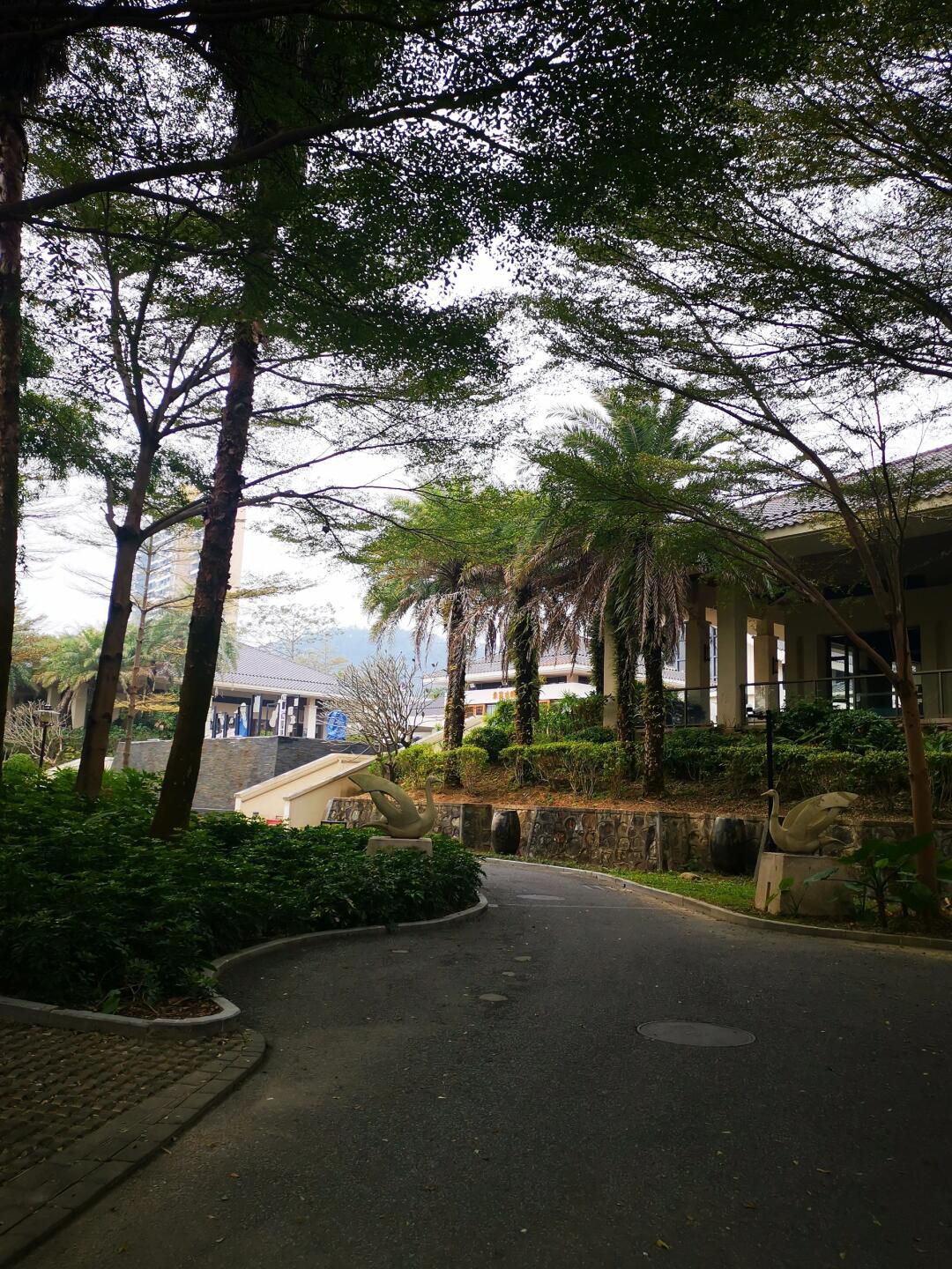 泉林黄金小镇旅行图片 3