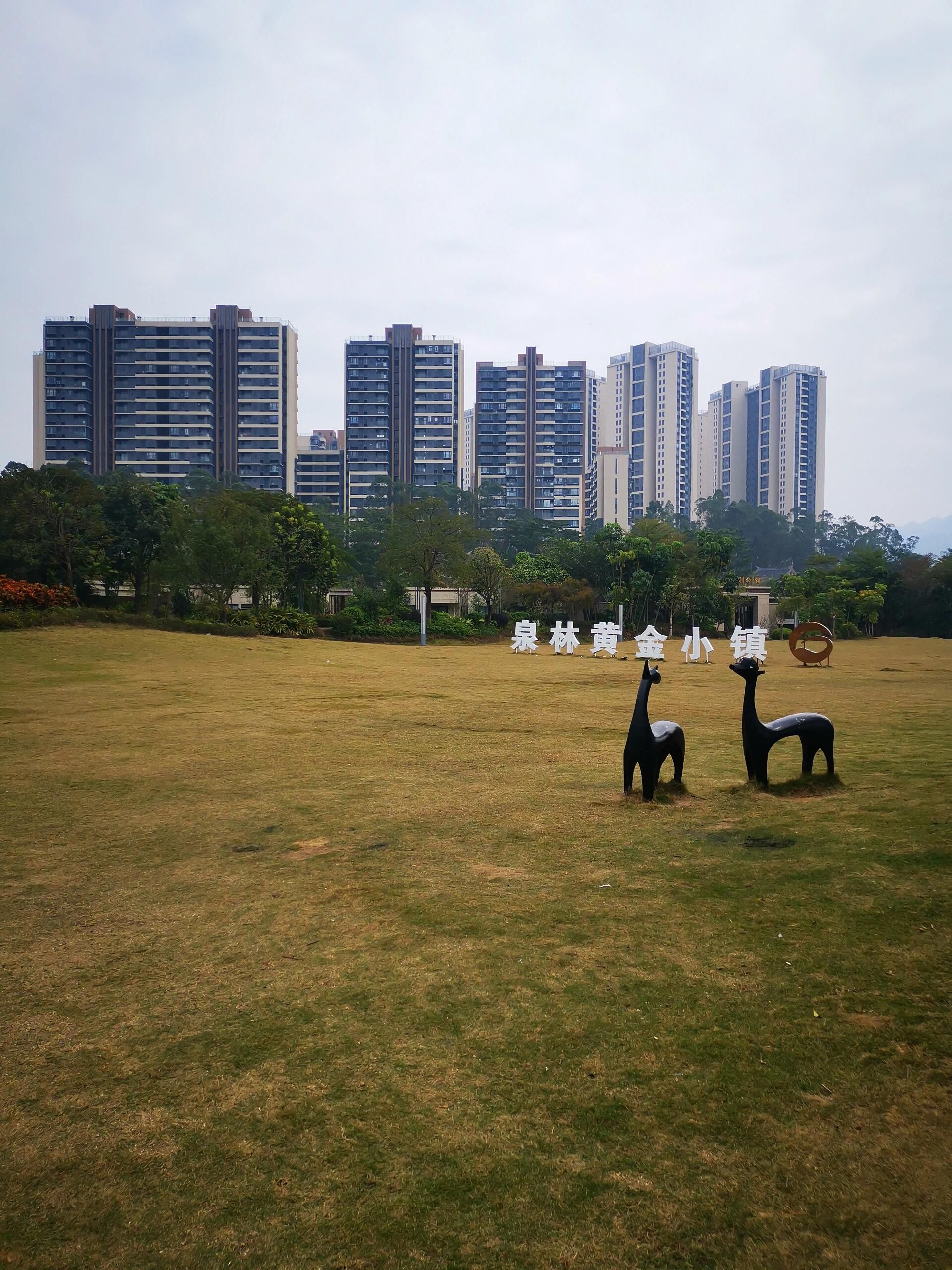 泉林黄金小镇旅行图片 1