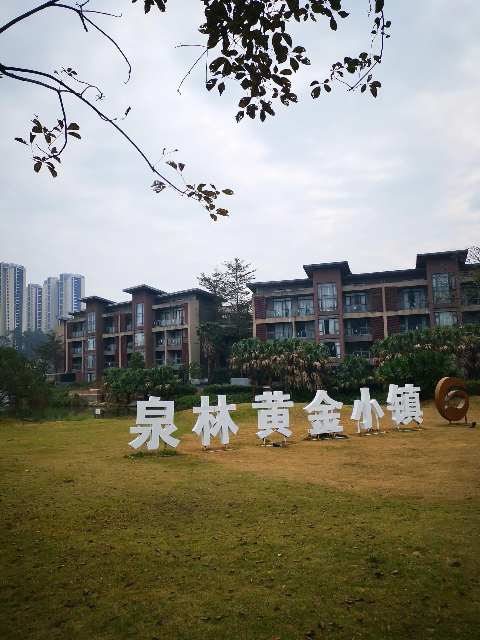 泉林黄金小镇旅行图片 2