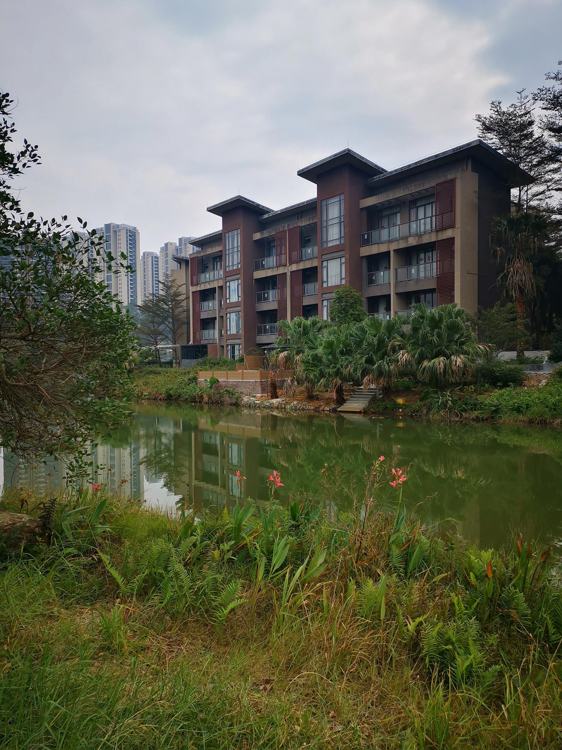 泉林黄金小镇旅行图片 3