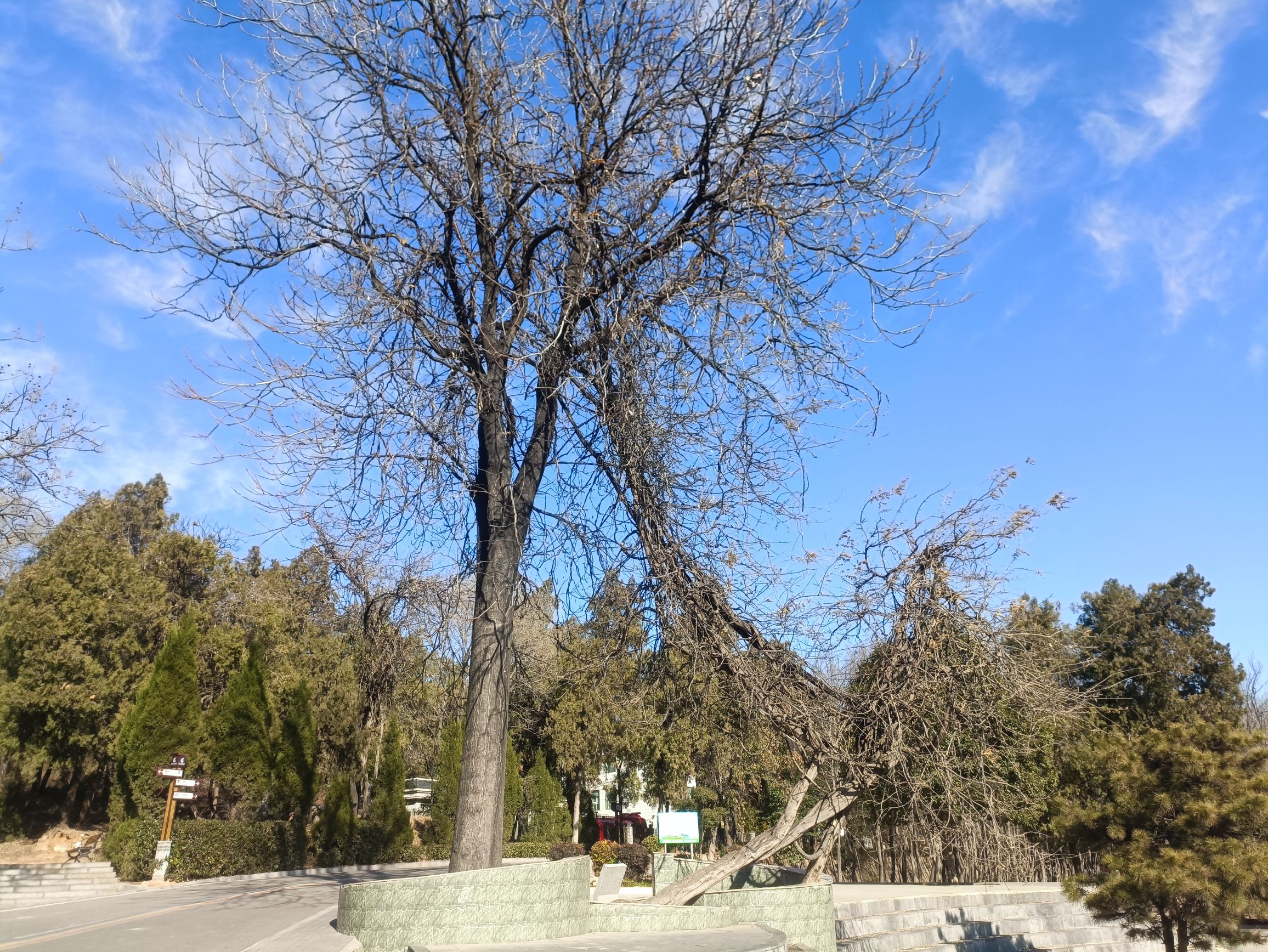 汝阳县万果山旅行图片 2