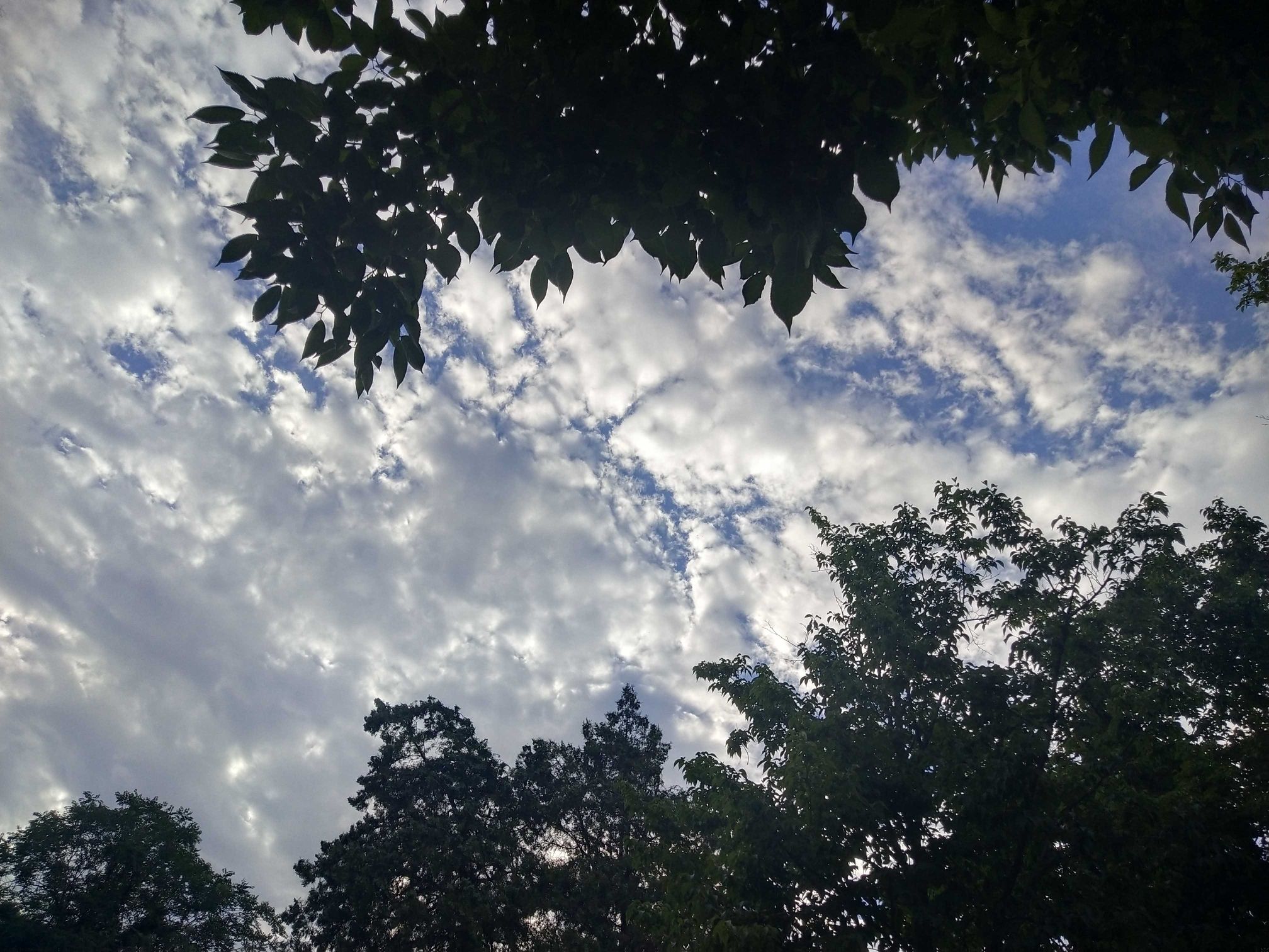 汝阳县万果山旅行图片 2