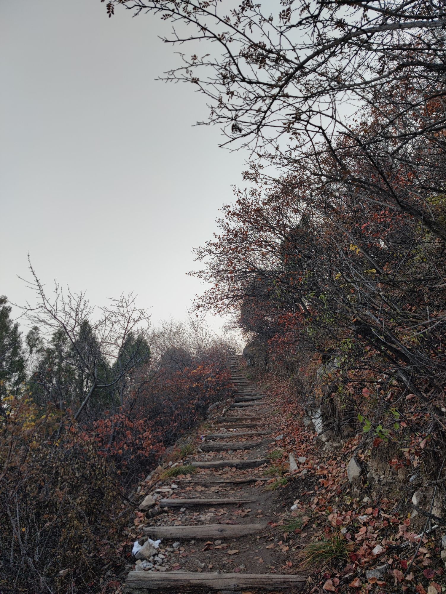 太原崛围山登山健身步道旅行图片 1