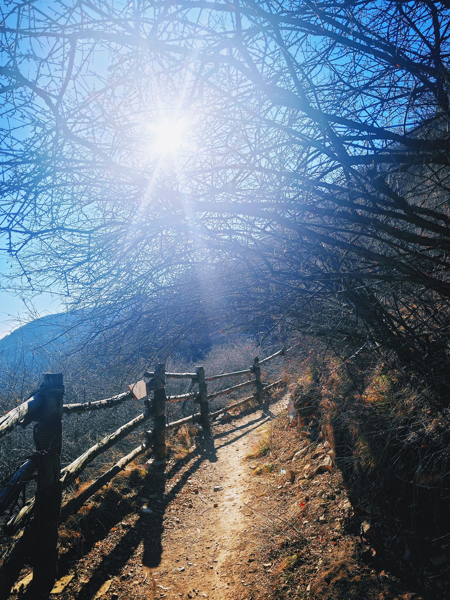 太原崛围山登山健身步道旅行图片 3