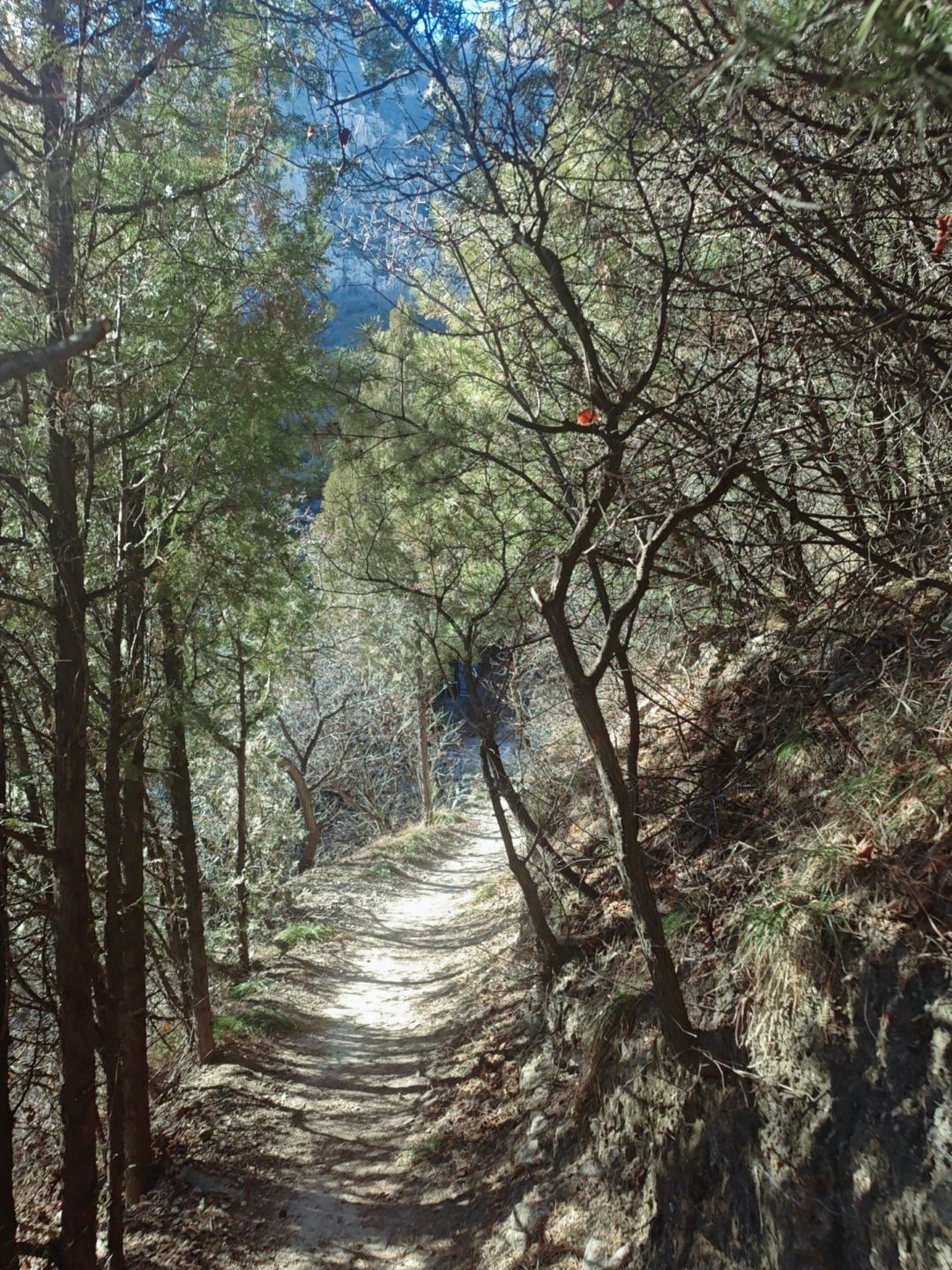 太原崛围山登山健身步道旅行图片 1