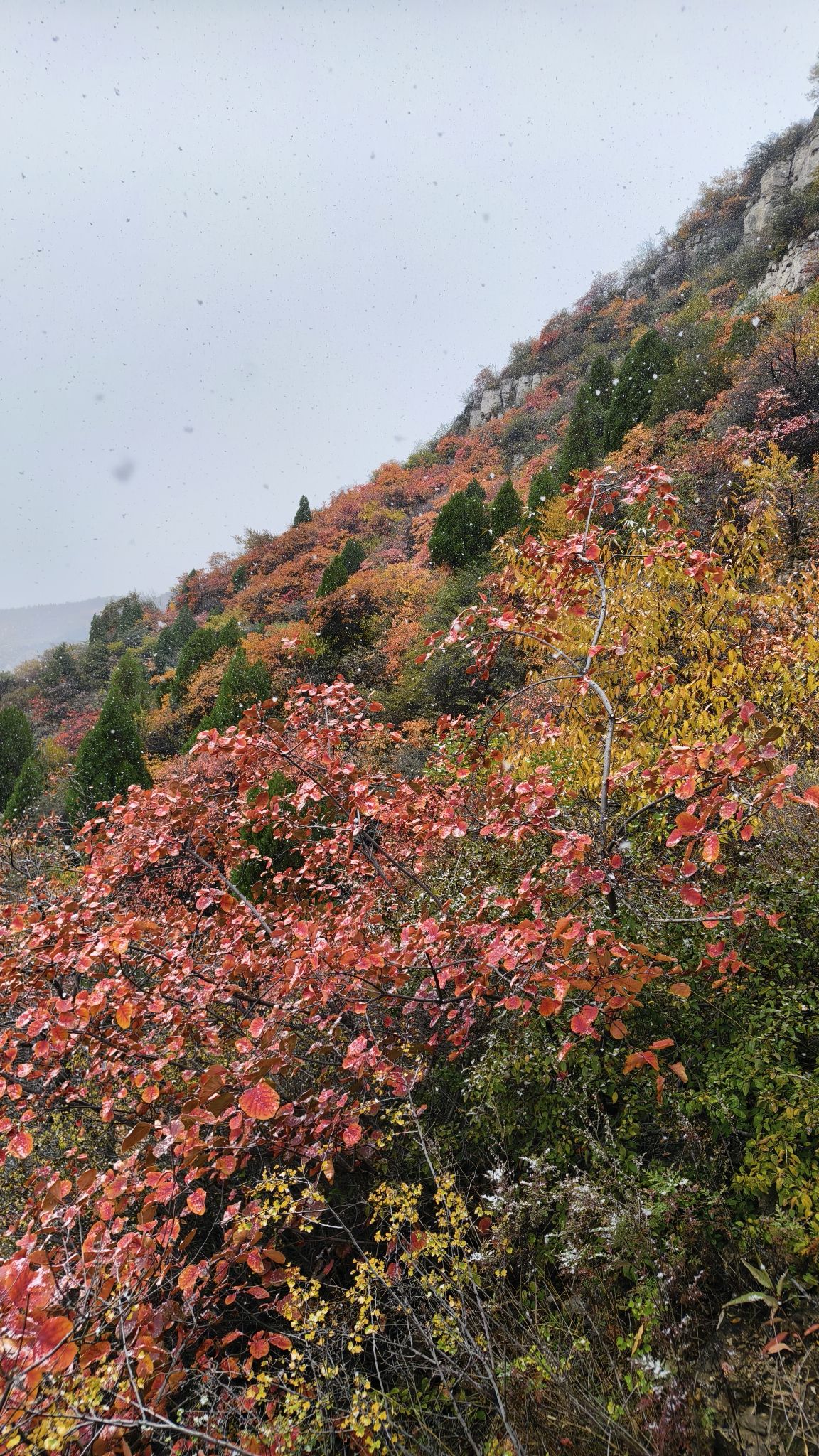 太原崛围山登山健身步道旅行图片 2