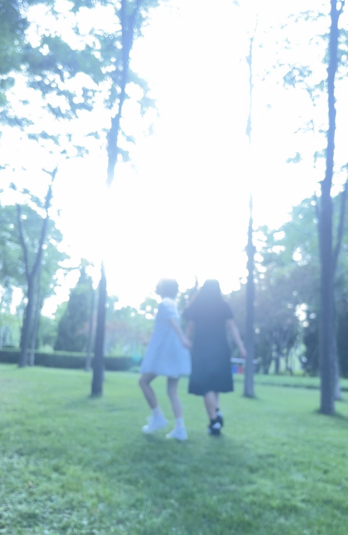 新立河公园旅行图片 1