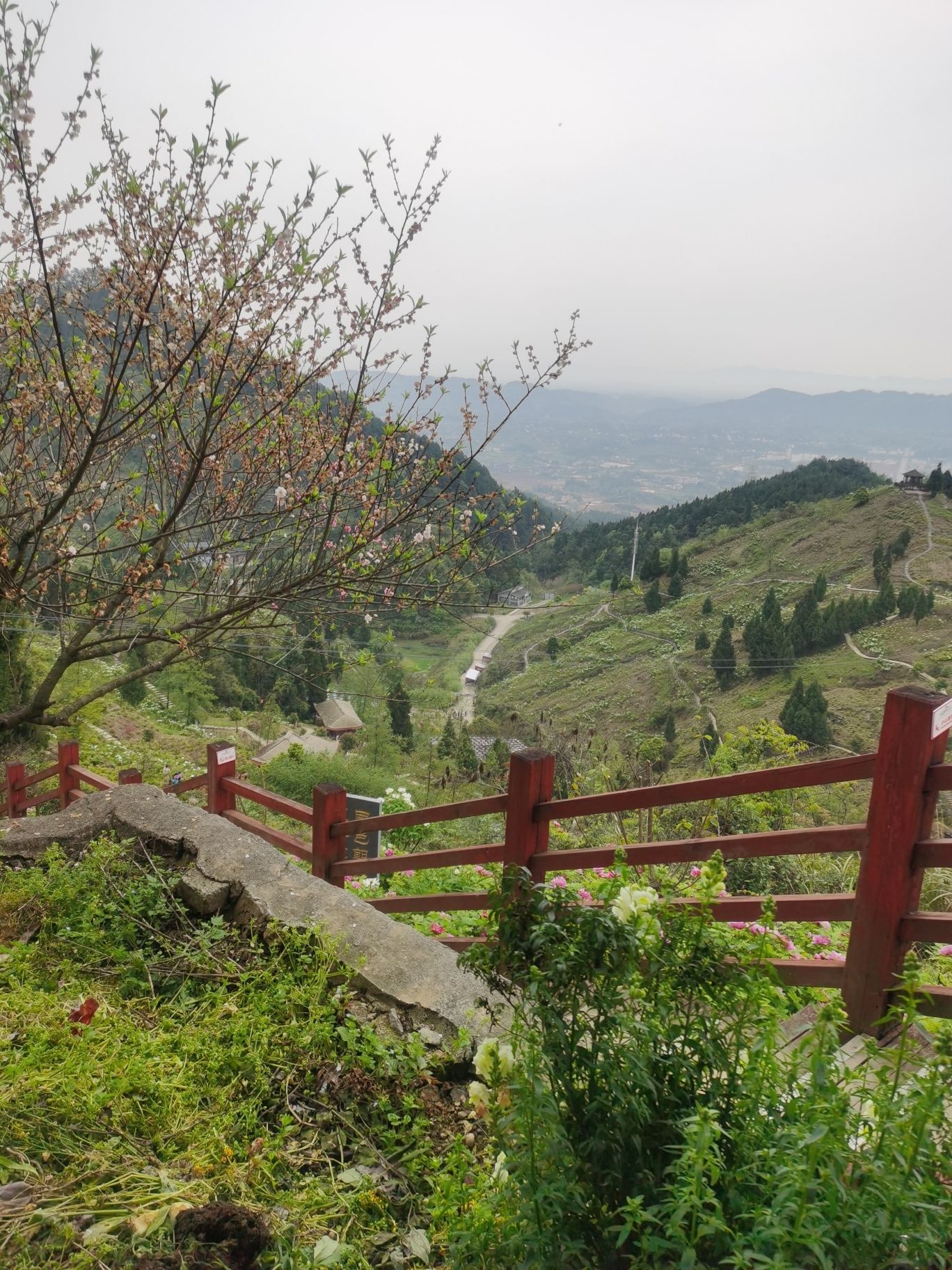 华夏牡丹园旅行图片 1