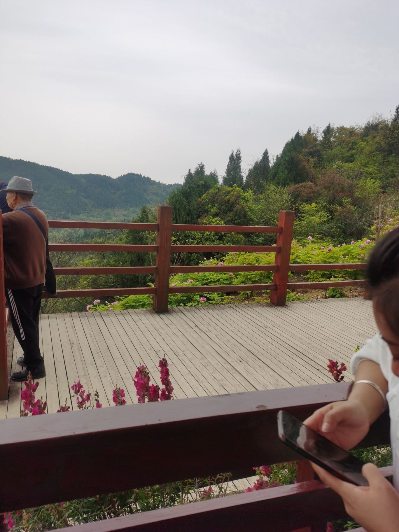 华夏牡丹园旅行图片 2
