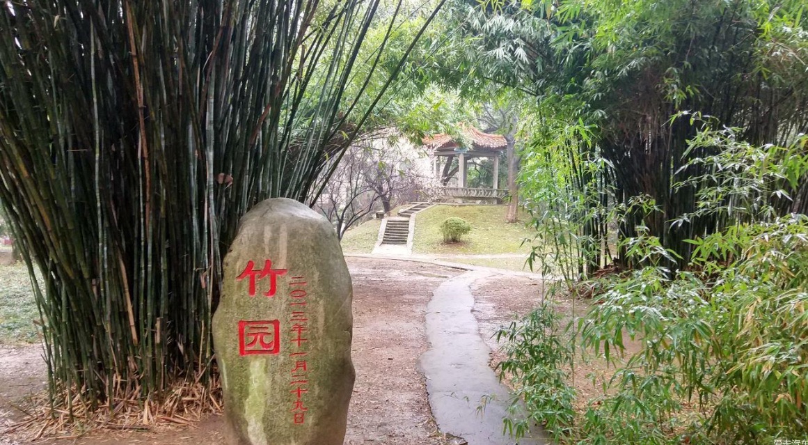 武汉大学信息学部-竹园旅行图片 1