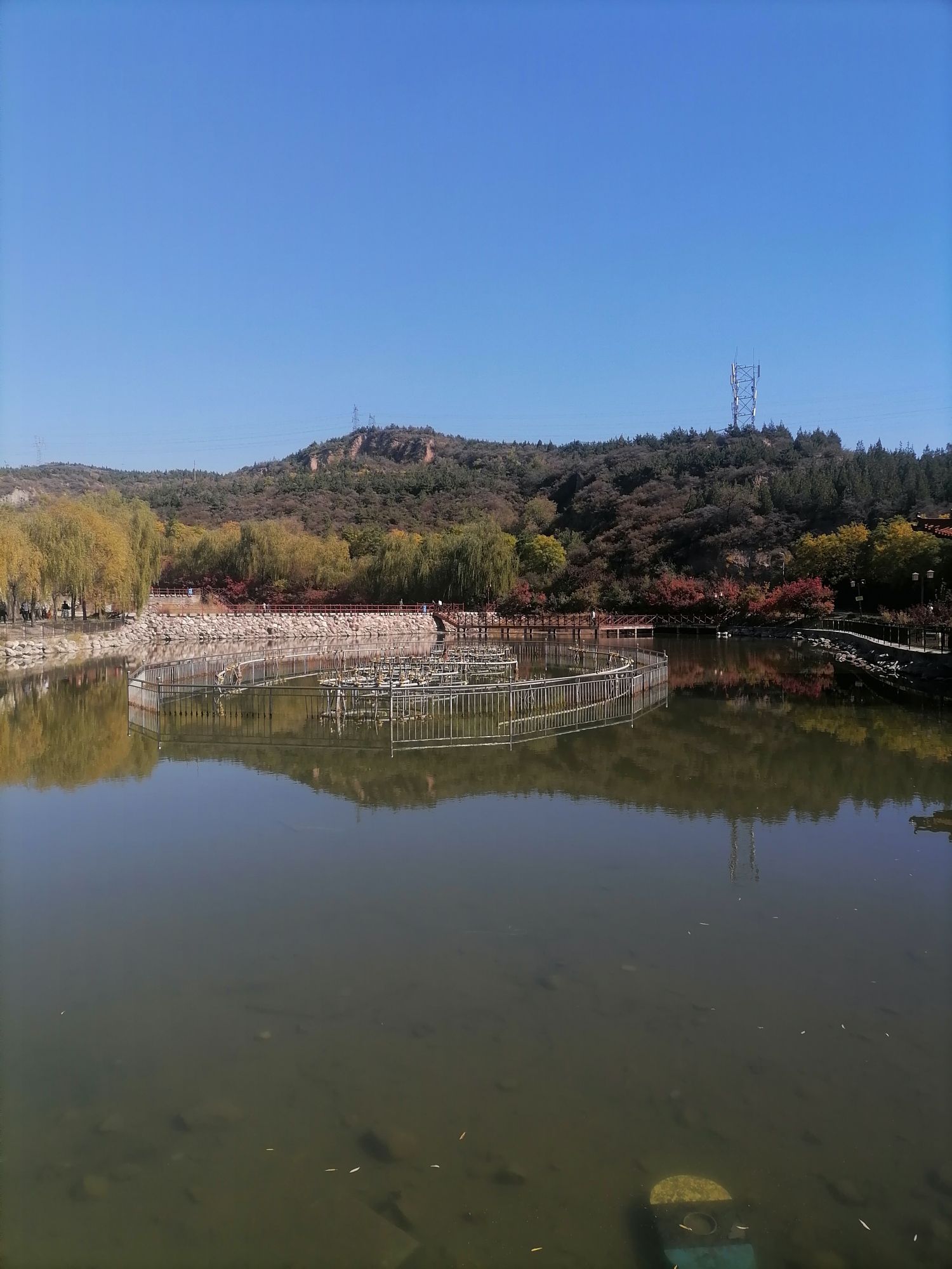 惕龙湖旅行图片 2