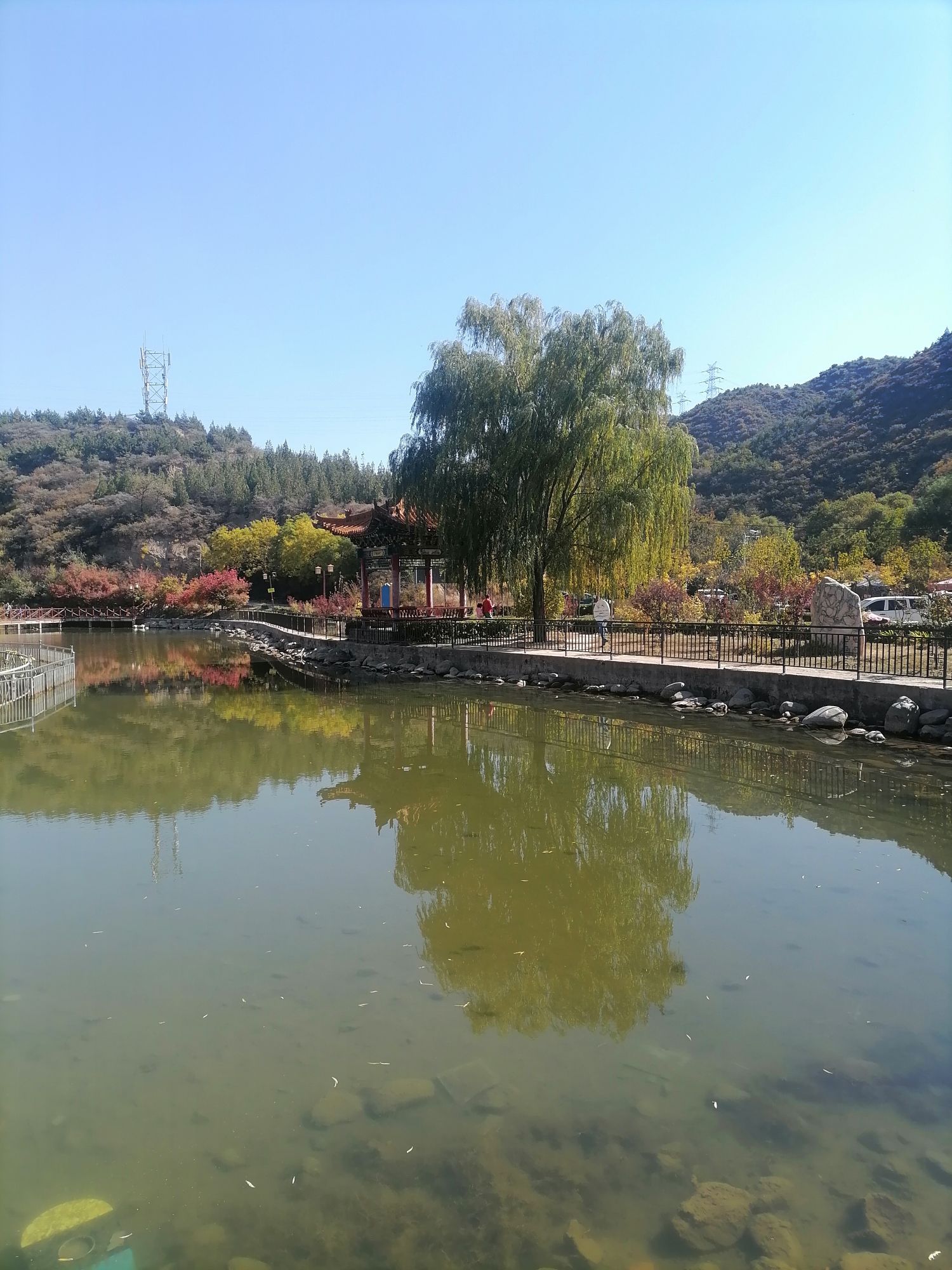 惕龙湖旅行图片 1