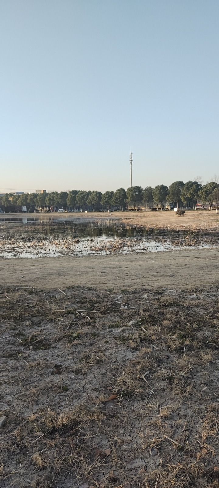 苏州昆山市千灯现代物流园附属中心公园旅行图片 1