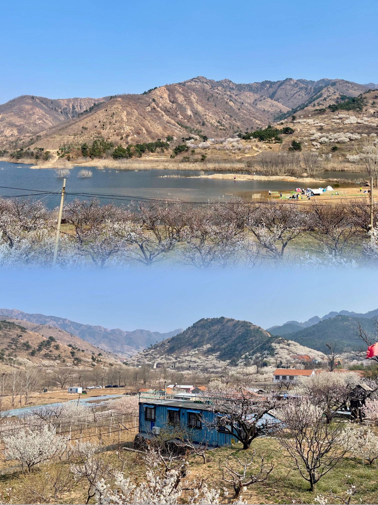 棉花风景区旅行图片 3