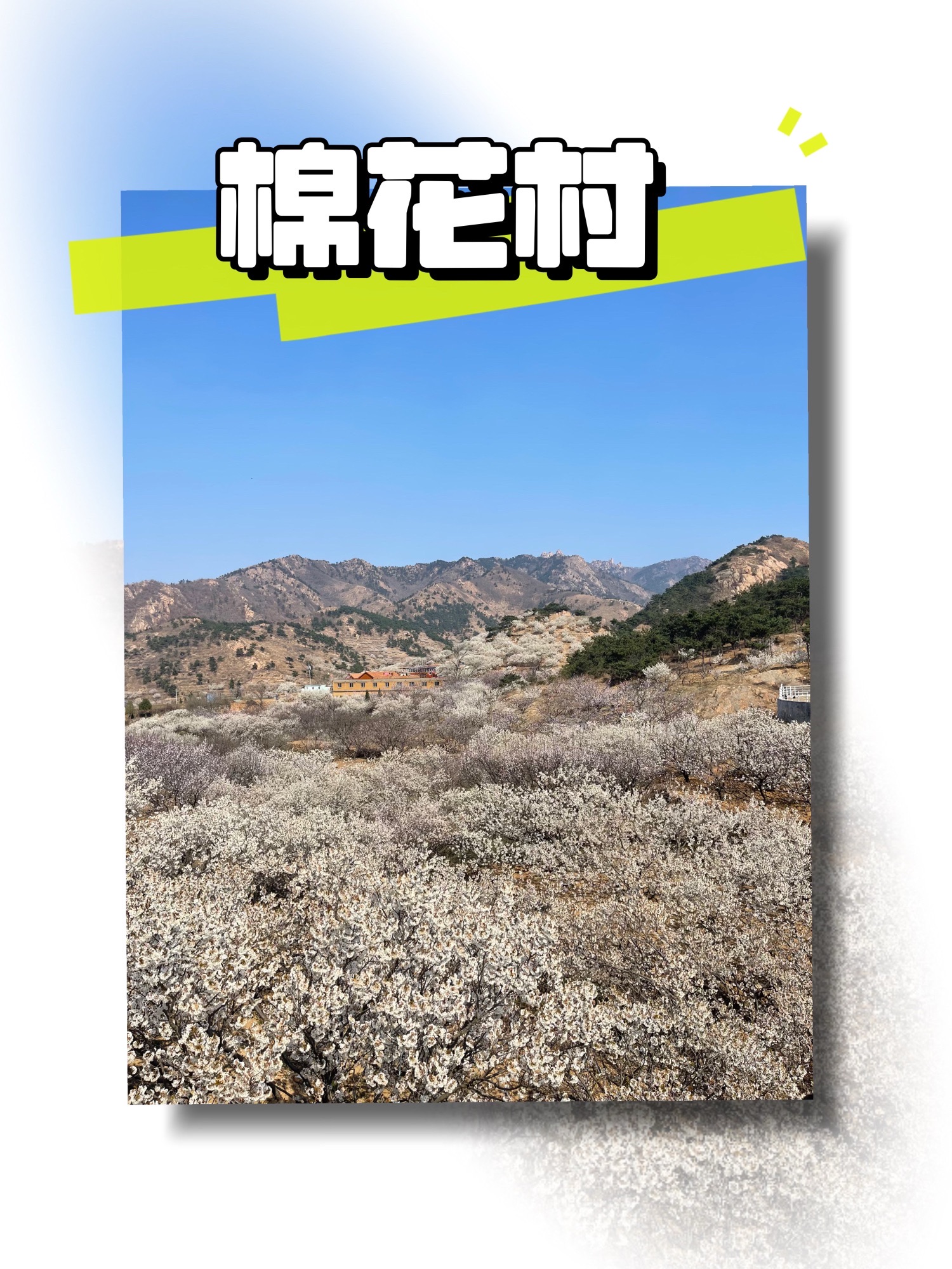 棉花风景区旅行图片 1