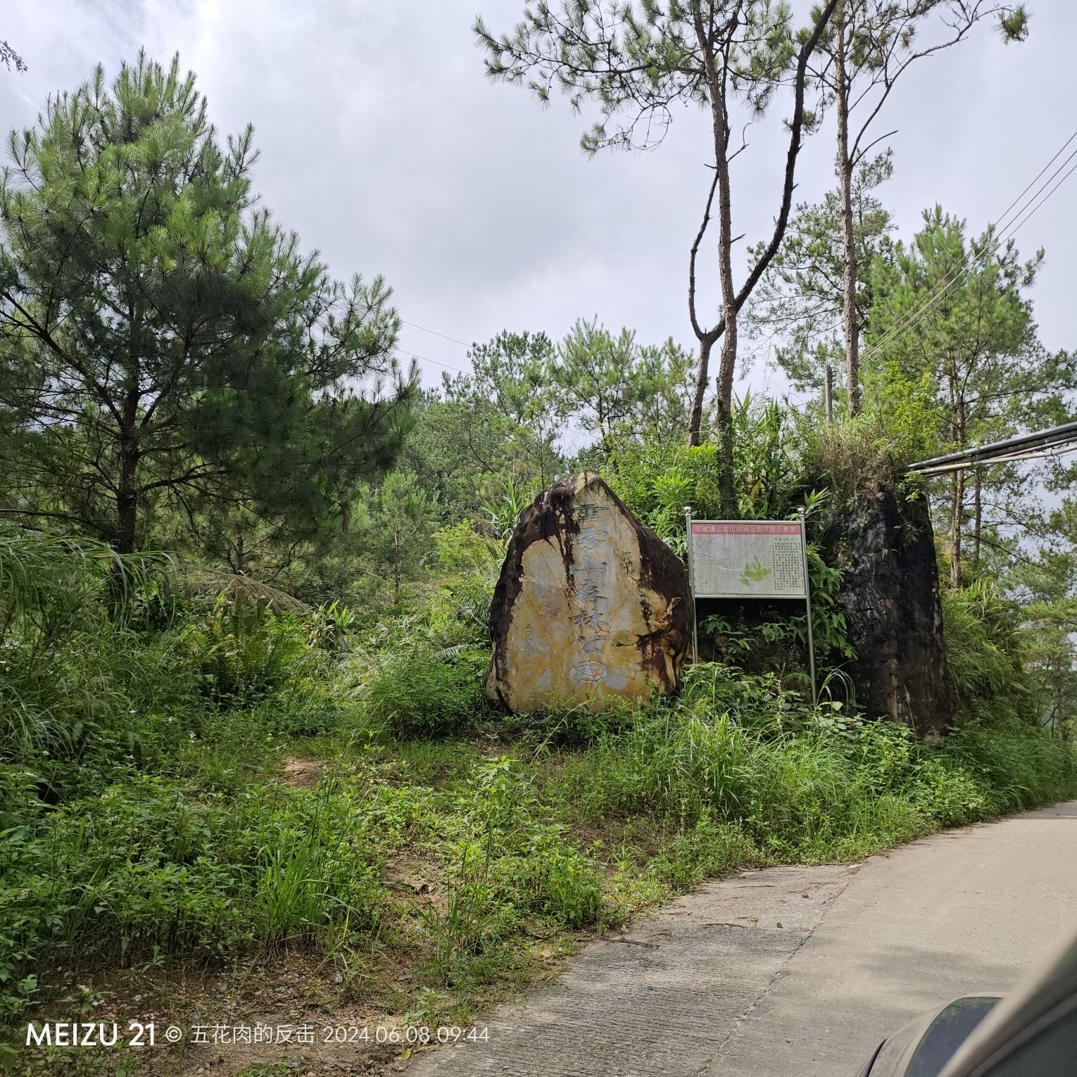 云雾山森林公园旅行图片 1
