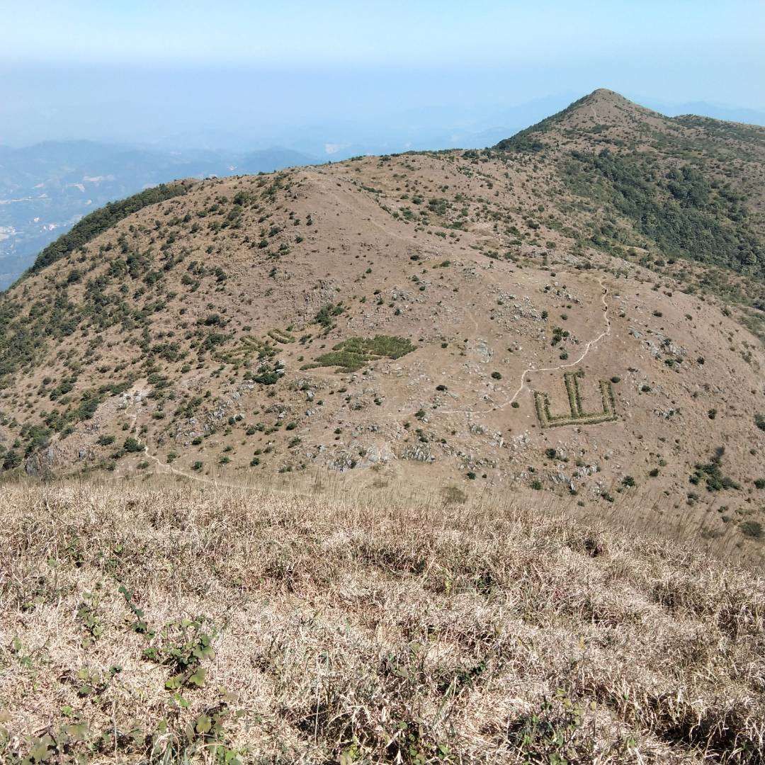 云雾山森林公园