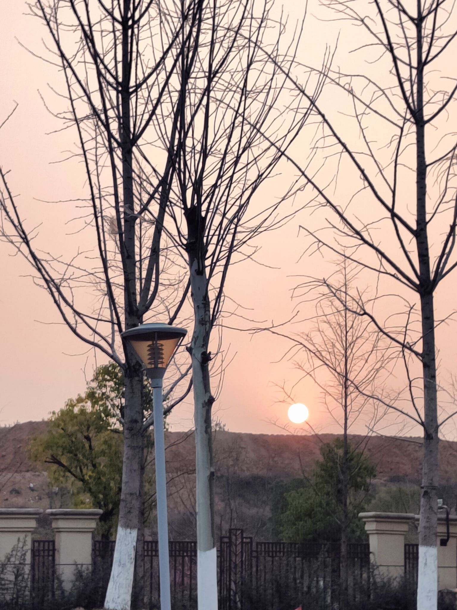 安石公园旅行图片 2