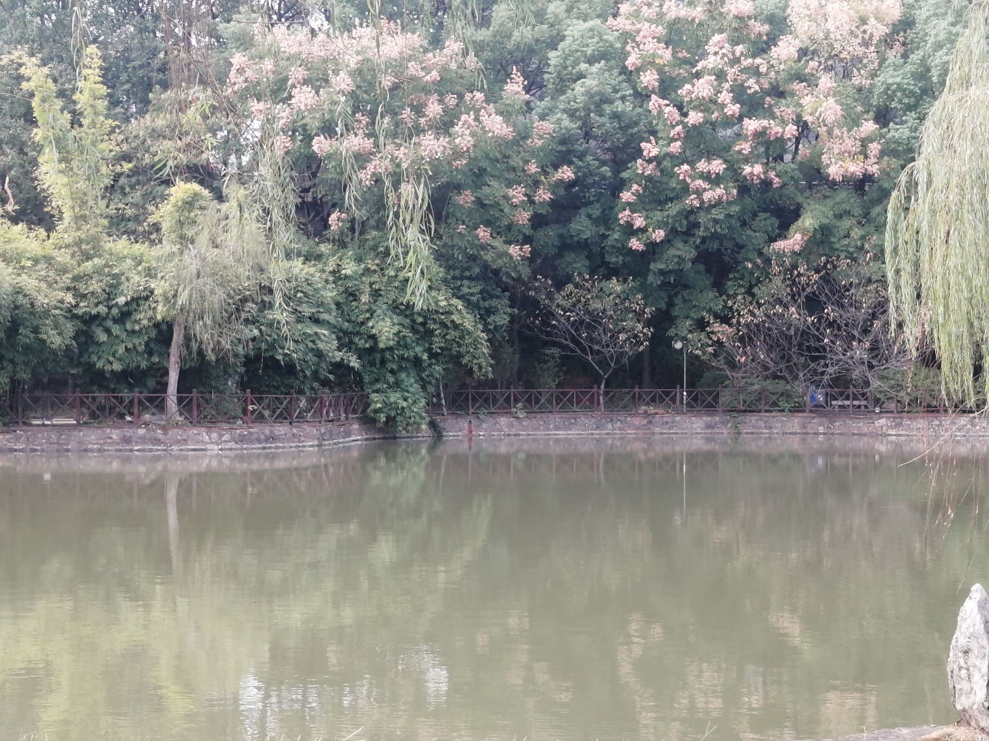 画眉潭旅行图片 3