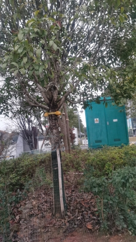 画眉潭旅行图片 2