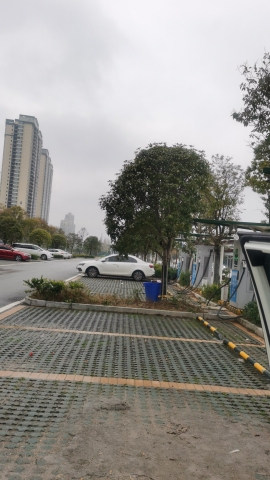 画眉潭旅行图片 3