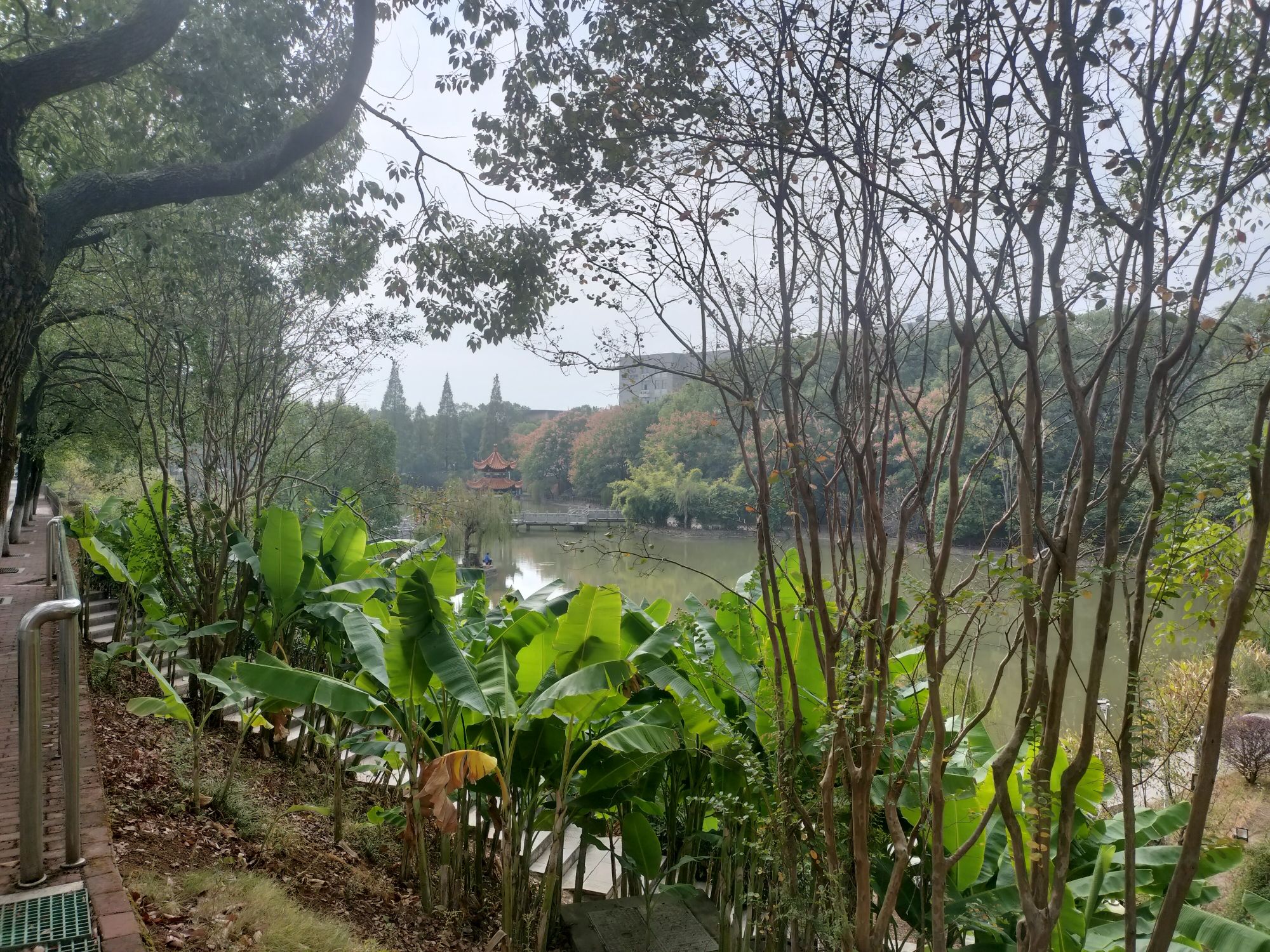 画眉潭旅行图片 1