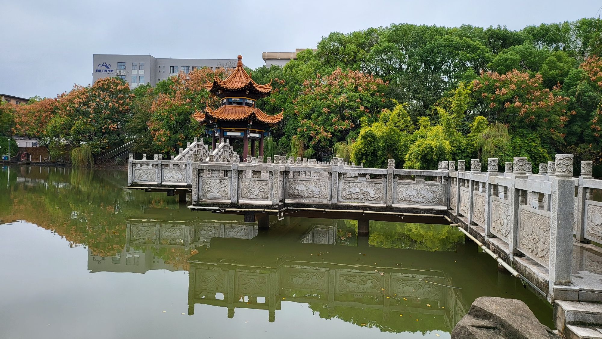 画眉潭旅行图片 1