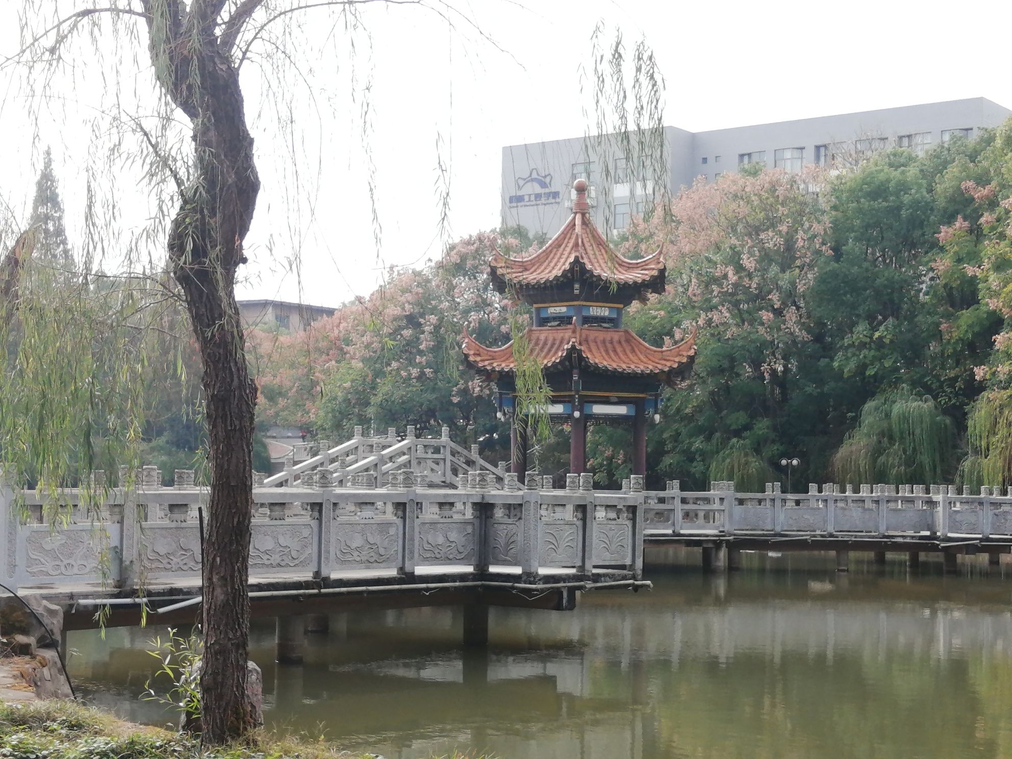 画眉潭旅行图片 1