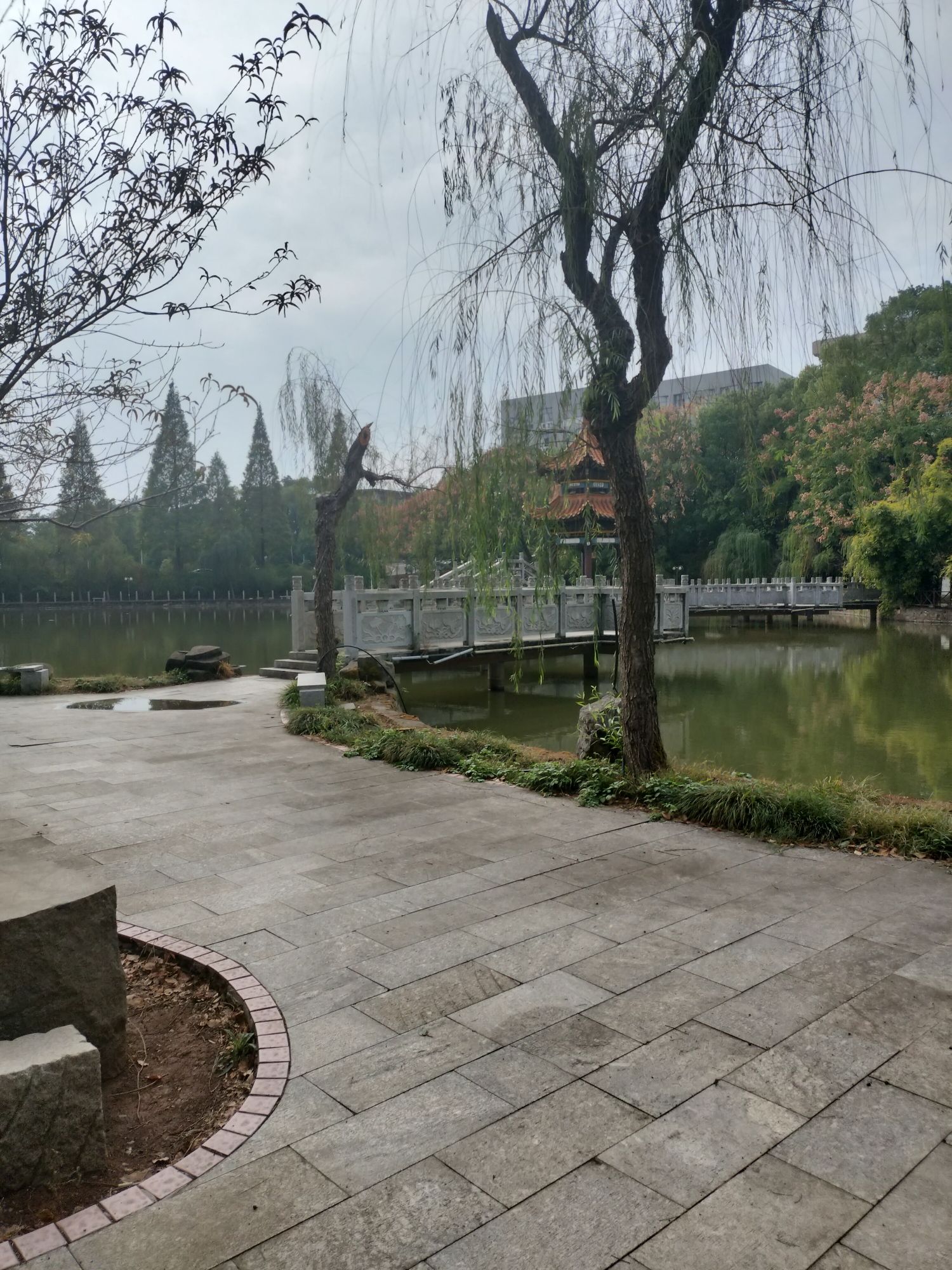 画眉潭旅行图片 3