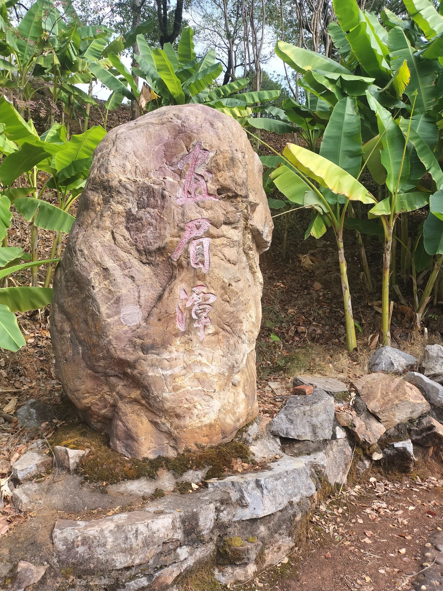 画眉潭旅行图片 2