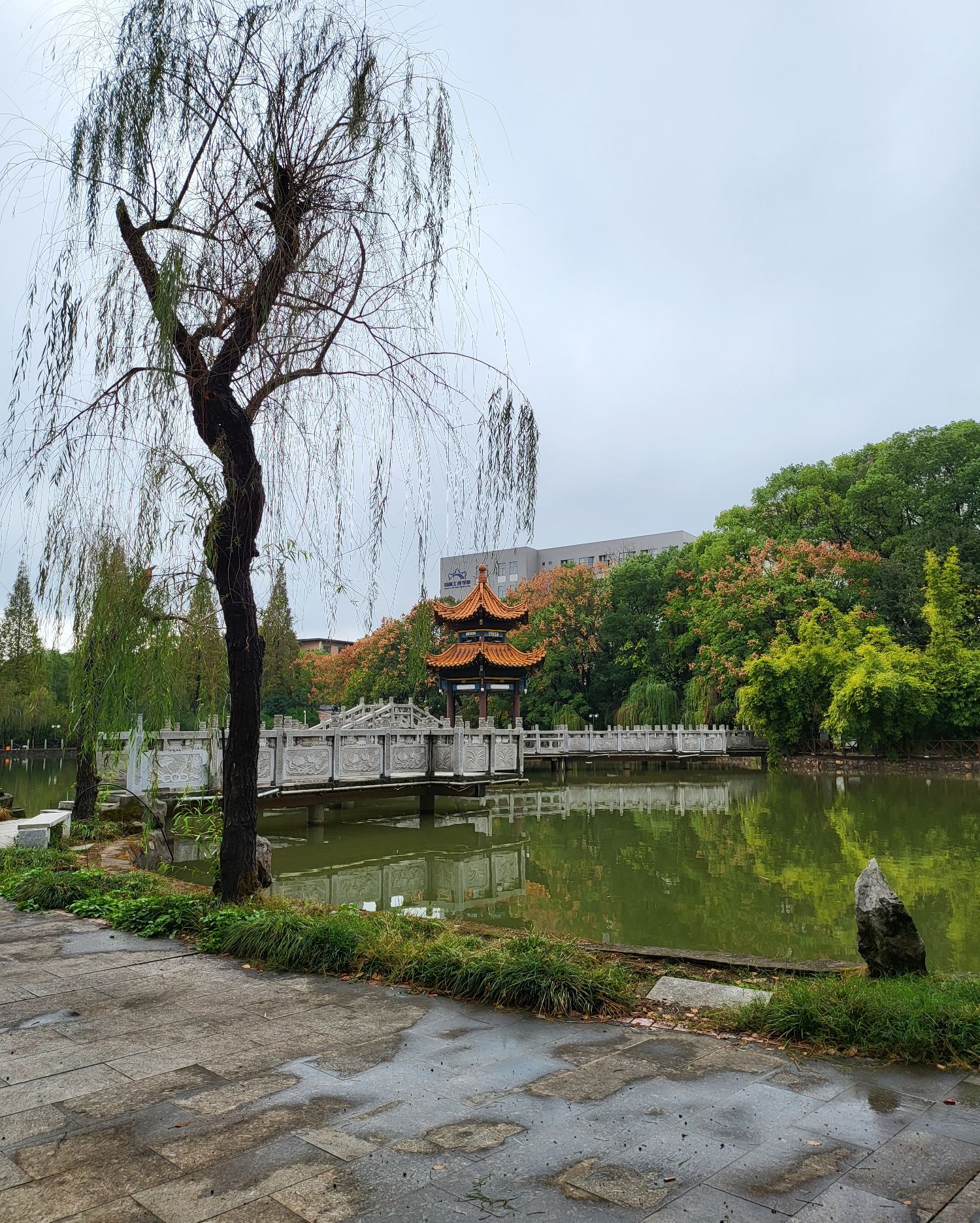 画眉潭旅行图片 3