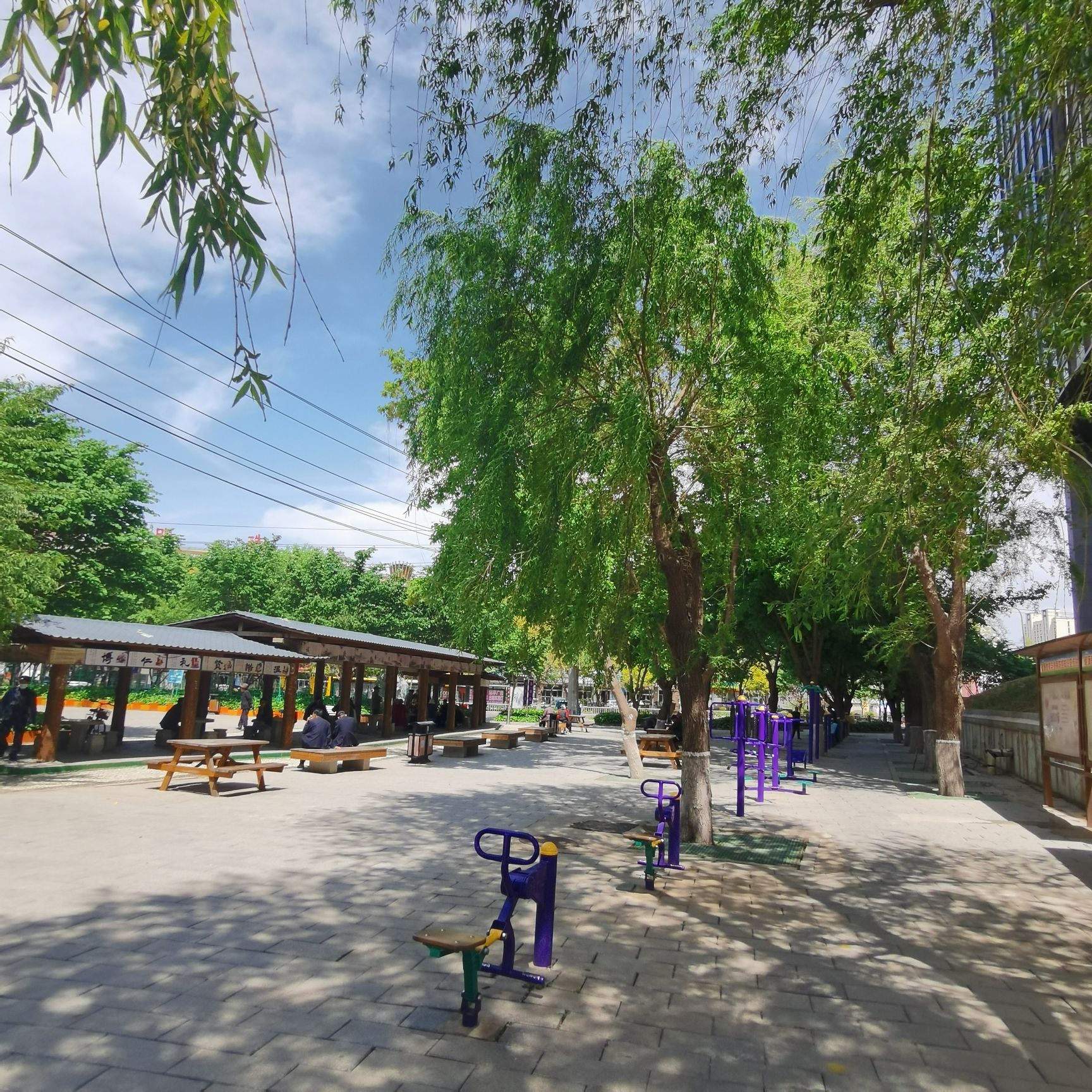 三角公园旅行图片 2