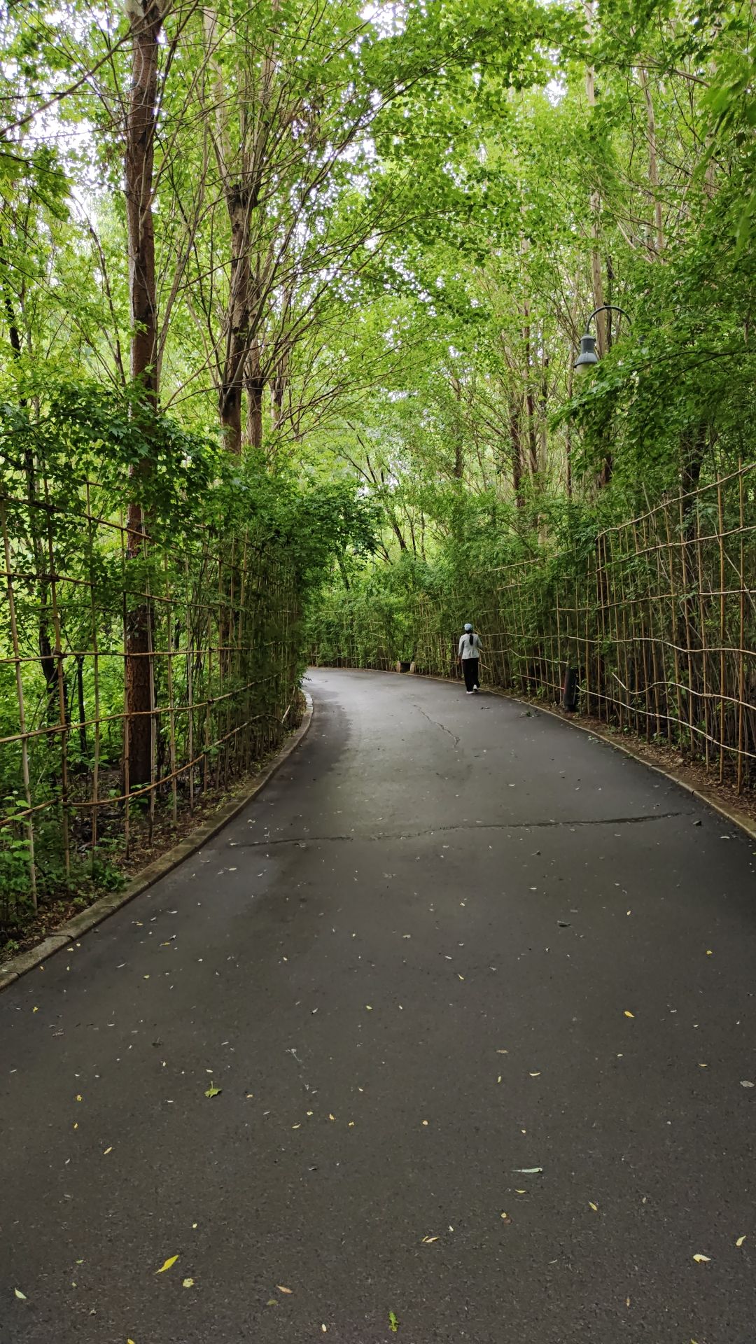 苏力德公园旅行图片 2