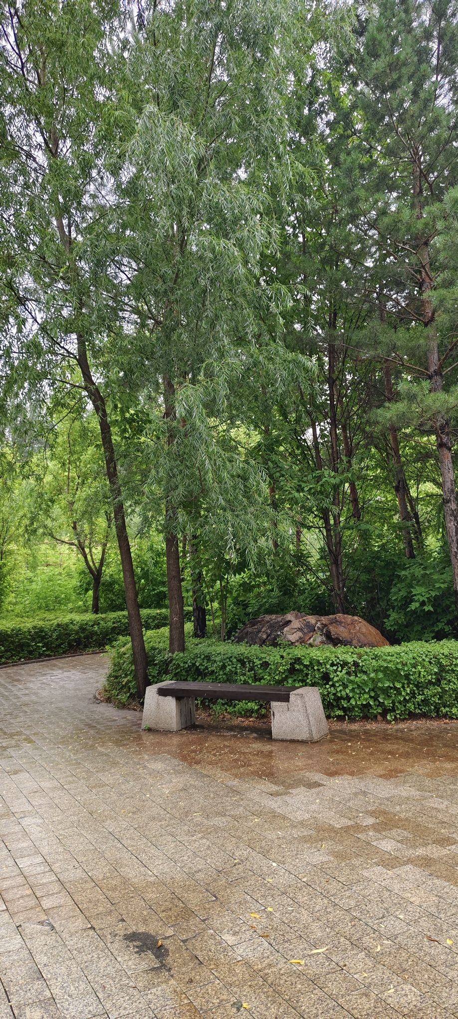 苏力德公园旅行图片 1