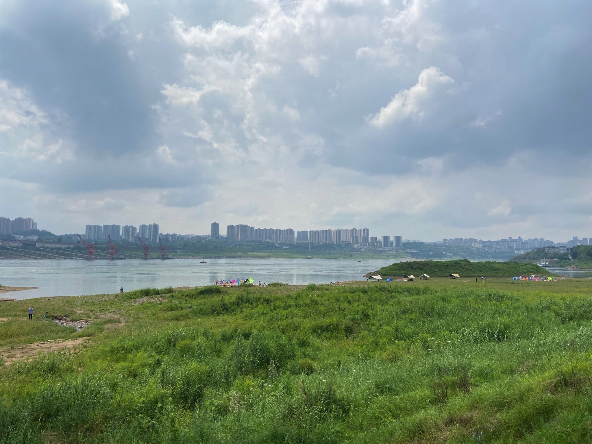 巴滨路湿地公园旅行图片 2