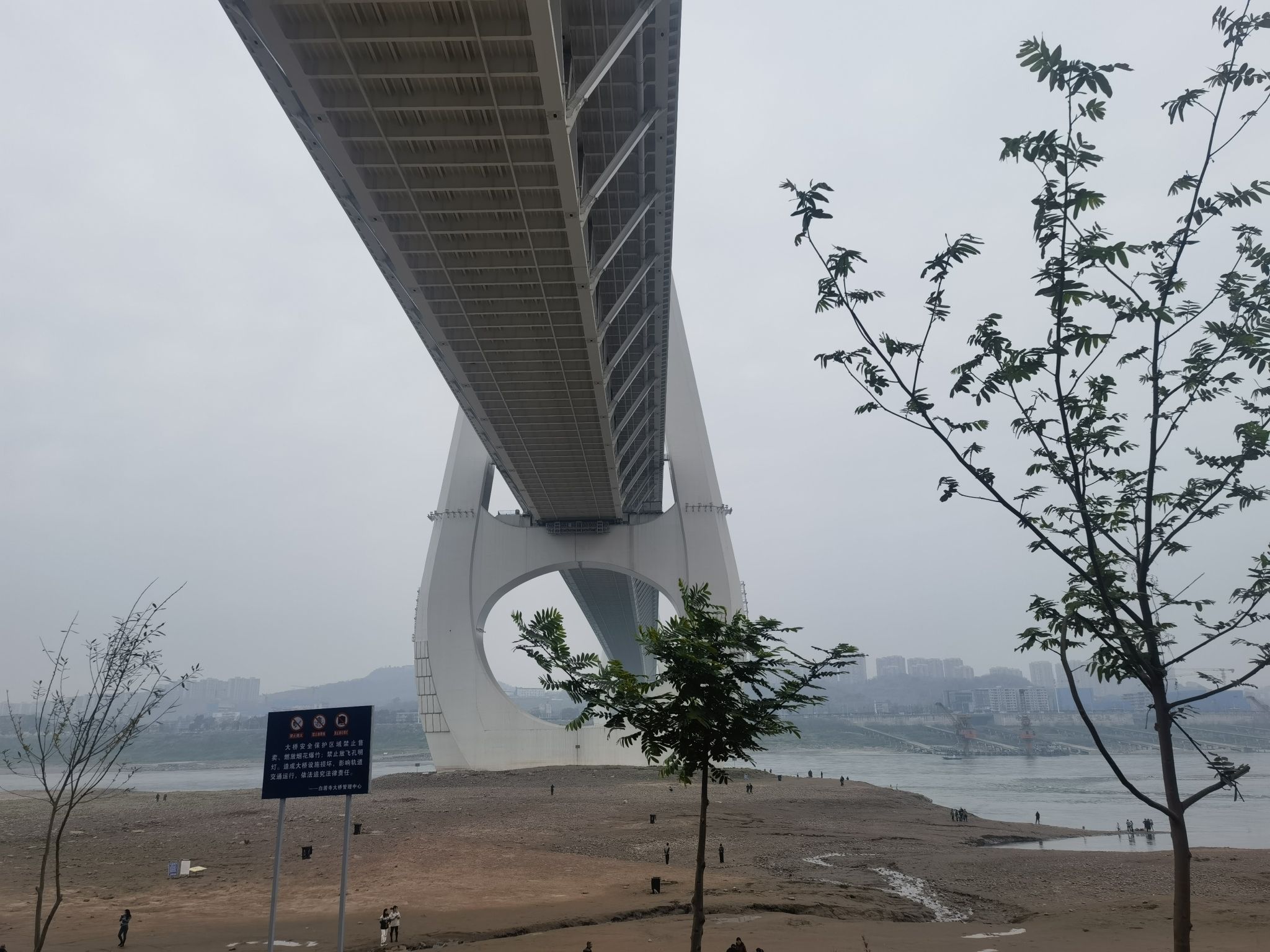 巴滨路湿地公园旅行图片 3