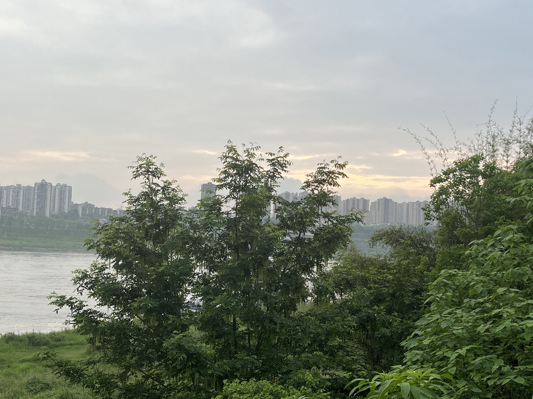巴滨路湿地公园旅行图片 2
