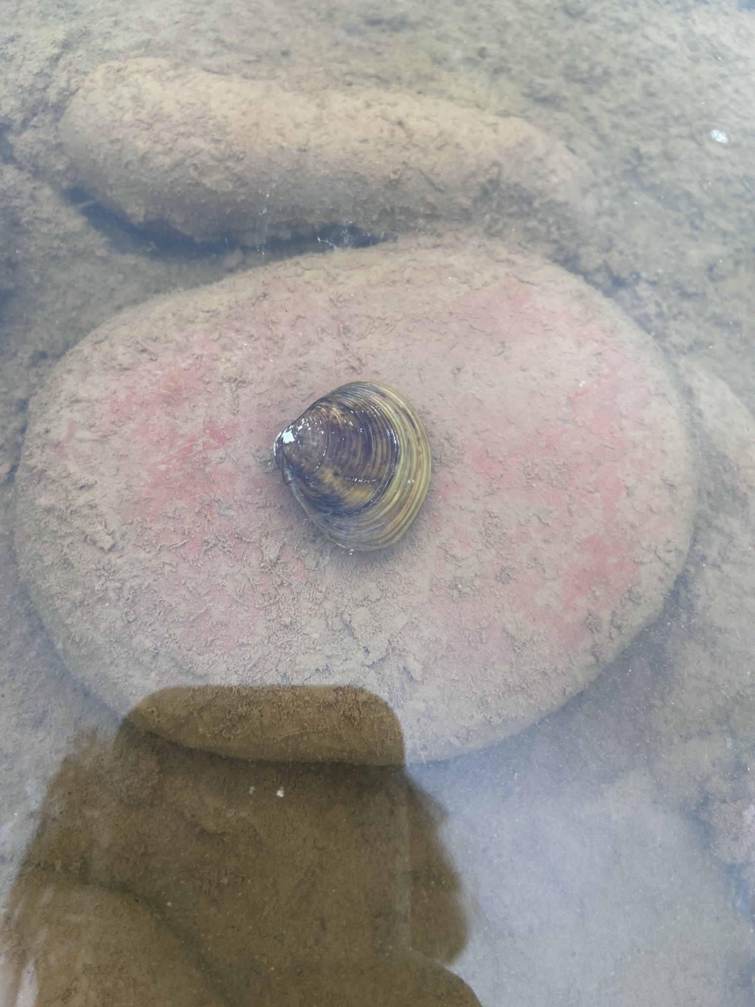 巴滨路湿地公园旅行图片 3
