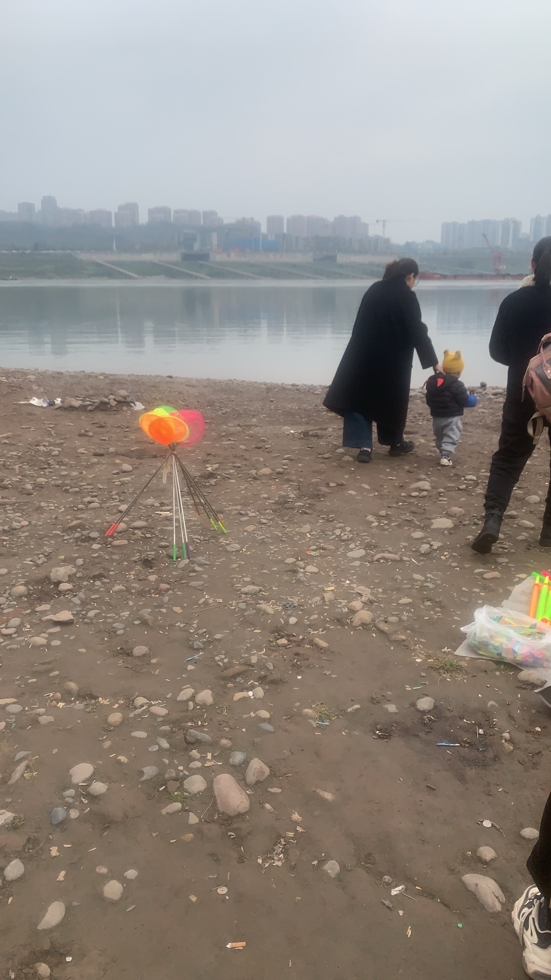 巴滨路湿地公园旅行图片 3