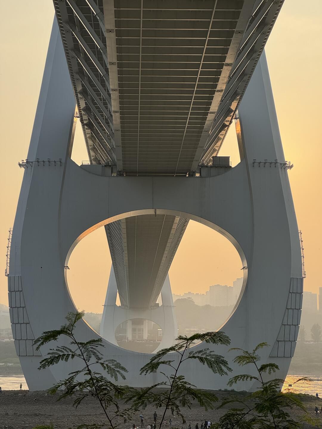 巴滨路湿地公园旅行图片 1