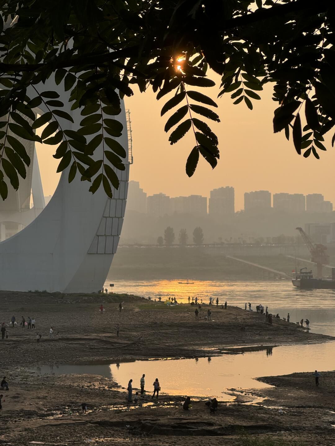 巴滨路湿地公园旅行图片 3