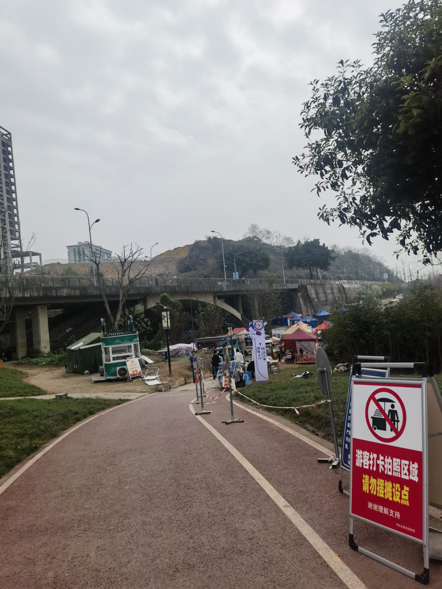 巴滨路湿地公园旅行图片 2