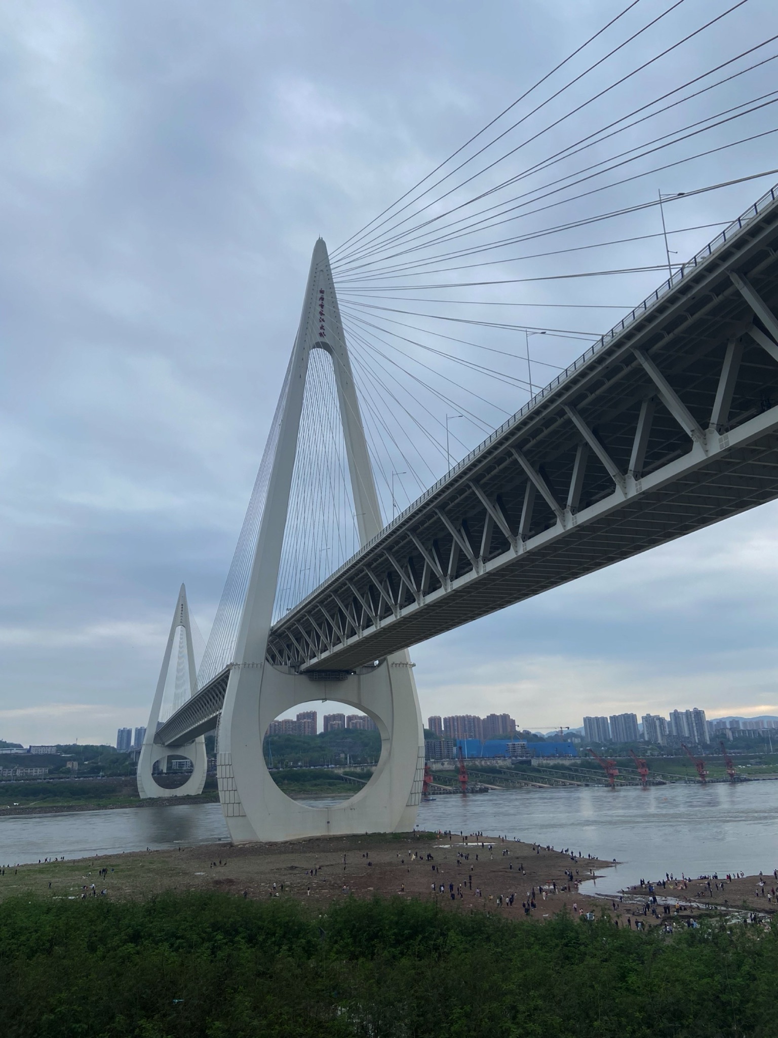巴滨路湿地公园旅行图片 1